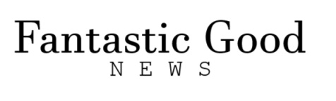 Logotyp Fantastic News